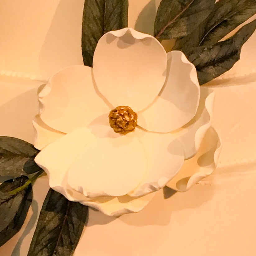 Magnificent Magnolia