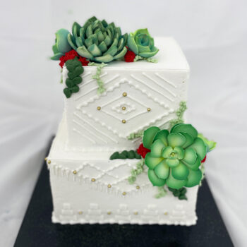 Striking Succulents